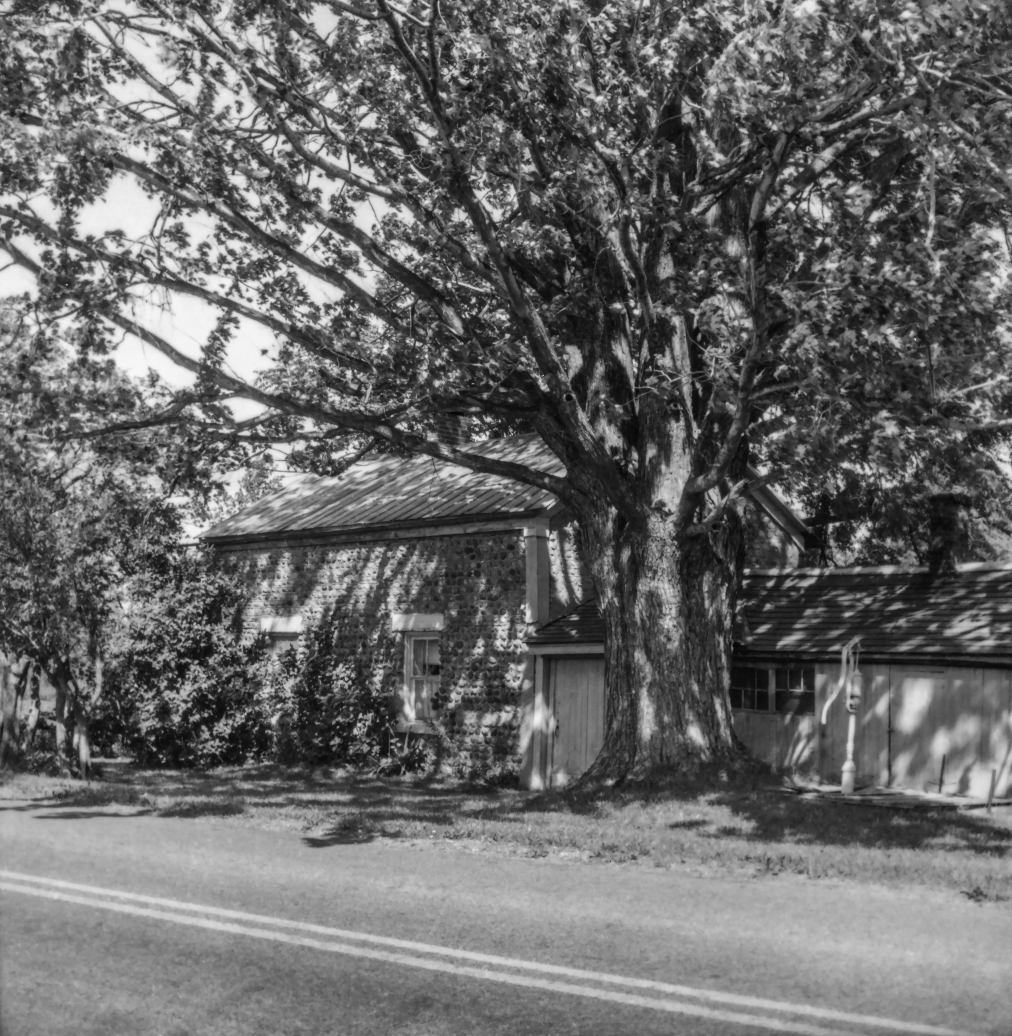 GP Seneca Junius Jun-10 1-1 P